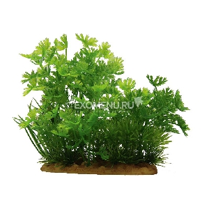 ArtUniq Ranunculus inundatus 15 - Искусственное растение Лютик водный, 15 см ArtUniq Ranunculus inundatus 15 - Искусственное растение Лютик водный, 15 см