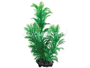 Растение аквариумное Green Cabomba (S) 15 см с утяжелителем Растение аквариумное Green Cabomba (S) 15 см с утяжелителем