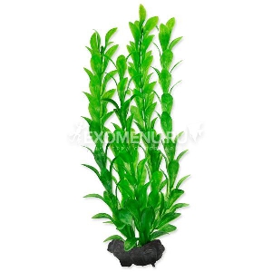 Растение аквариумное Hygrophila (M) 23см с утяжелителем Растение аквариумное Hygrophila (M) 23см с утяжелителем