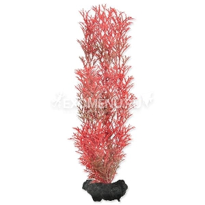 Растение аквариумное Red Foxtail (M) 23 см с утяжелителем Растение аквариумное Red Foxtail (M) 23 см с утяжелителем
