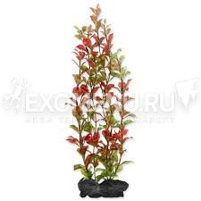 Растение аквариумное Red Ludvigia (L) 30 см с утяжелителем