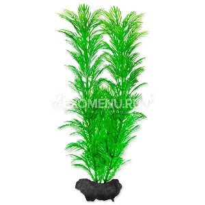 Растение аквариумное Green Cabomba (M) 23 см с утяжелителем Растение аквариумное Green Cabomba (M) 23 см с утяжелителем