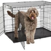 MidWest клетка Contour 122х76х84h см 2 двери MidWest клетка Contour 122х76х84h см 2 двери