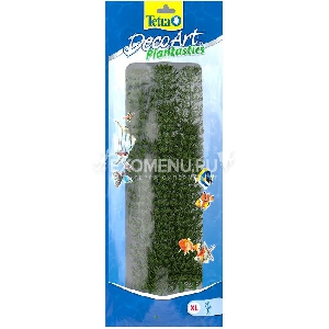 Растение аквариумное Ambulia  4 (XL) 38 см.
