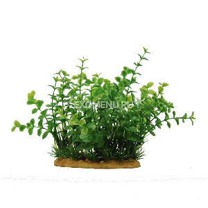 ArtUniq Bacopa 15 - Искусственное растение Бакопа, 15 см ArtUniq Bacopa 15 - Искусственное растение Бакопа, 15 см