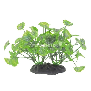 ArtUniq Hydrocotyle 10-12 - Искусственное растение Щитолистник, 10-12 см