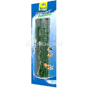 Растение аквариумное Anacharis 3 (L) 30см. 607002 Растение аквариумное Anacharis 3 (L) 30см. 607002