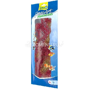 Растение аквариумное Red Foxtail 4 (XL) 38см. 607118 Растение аквариумное Red Foxtail 4 (XL) 38см. 607118