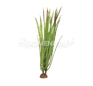 ArtUniq Hygrophila pinnatifida 19 - Искусственное растение Гигрофила перистонадрезанная, 6x6x19 см ArtUniq Hygrophila pinnatifida 19 - Искусственное растение Гигрофила перистонадрезанная, 6x6x19 см