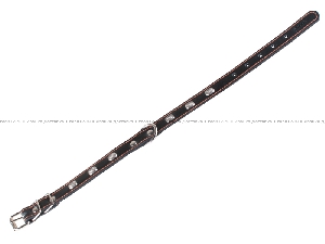 Collar одинарный ошейник чёрного цвета для собак