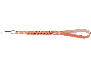 Collar плетёный поводок-водилка коричневого цвета для собак Collar плетёный поводок-водилка коричневого цвета для собак