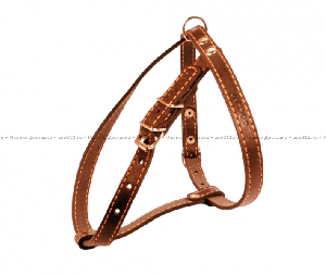Collar одинарная шлейка для собак мелких и средних пород Collar одинарная шлейка для собак мелких и средних пород