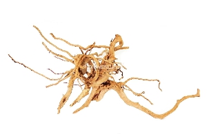 Коряга Коряга