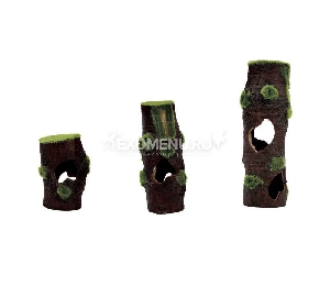 ArtUniq Mossy Stumps 3S - ArtUniq Mossy Stumps 3S -