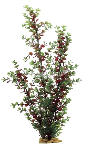 ArtUniq Bacopa red-green 60 - Искусственное растение Бакопа красно-зеленая, 60 см ArtUniq Bacopa red-green 60 - Искусственное растение Бакопа красно-зеленая, 60 см