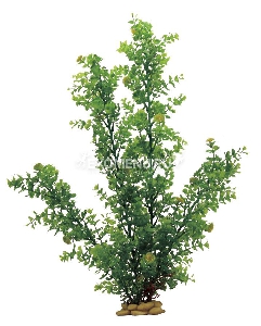 ArtUniq Hydrocotyle tripartita 60 - Искусственное растение Кариота, 60 см ArtUniq Hydrocotyle tripartita 60 - Искусственное растение Кариота, 60 см