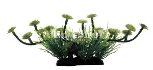 ArtUniq Marsilea 10 - Искусственное растение Марсилия, 23x11x10 см ArtUniq Marsilea 10 - Искусственное растение Марсилия, 23x11x10 см