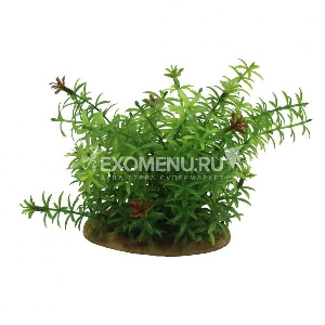 ArtUniq Elodea 15 - Искусственное растение Элодея, 15 см ArtUniq Elodea 15 - Искусственное растение Элодея, 15 см