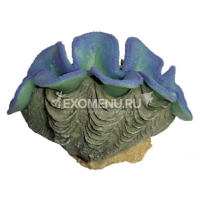 ArtUniq Blue Clam - Декоративная композиция ArtUniq Blue Clam - Декоративная композиция