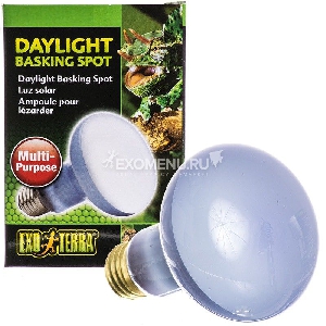 Лампа day light basking spot 25 Вт Лампа day light basking spot 25 Вт
