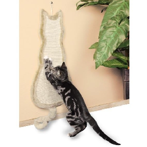 Кошка Кошка