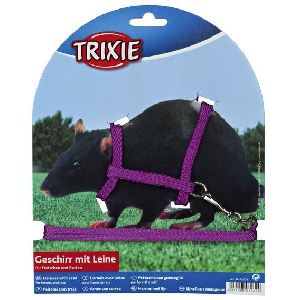 Шлейка с поводком для хорьков и крыс