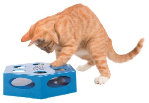 Игрушка для кошки Игрушка для кошки