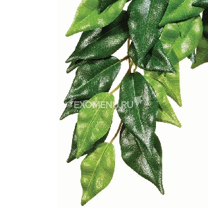 Тропическое растение Jungle Plants Фикус, малое, 45х20 см Тропическое растение Jungle Plants Фикус, малое, 45х20 см