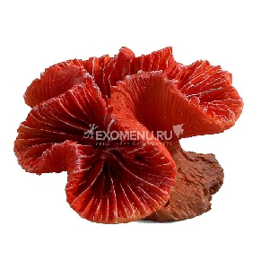 Коралл искусственный 2901LD 