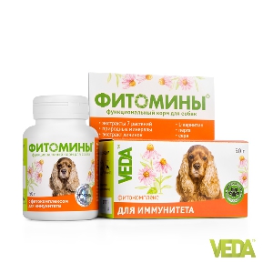 ФИТОМИНЫ для иммунитета для собак 100 табл ФИТОМИНЫ для иммунитета для собак 100 табл