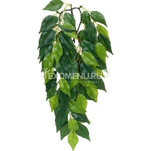 Тропическое растение Jungle Plants Фикус, большое, 70х20 см Тропическое растение Jungle Plants Фикус, большое, 70х20 см