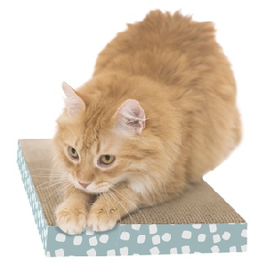 Kitty City Когтеточка доска большая, 4x25x46 см, картон Kitty City Когтеточка доска большая, 4x25x46 см, картон