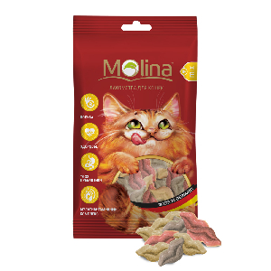 Молина Лакомства для кошек Поцелуйчики MIX, 35 г Молина Лакомства для кошек Поцелуйчики MIX, 35 г