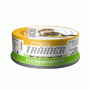 Trainer Fitness Adult утка амарант Trainer Fitness Adult утка амарант